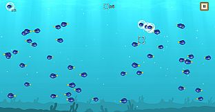 Coco's Beachquarium