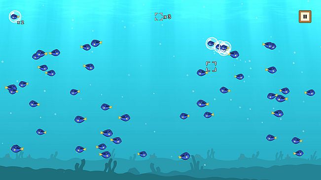 Coco's Beachquarium