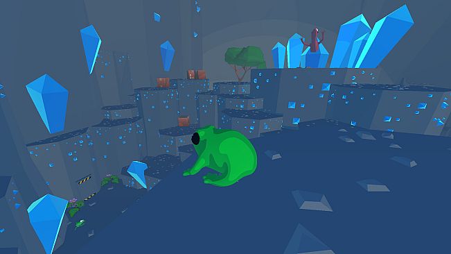 Focus Froggy