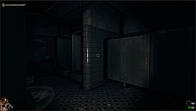 Horror in the Asylum