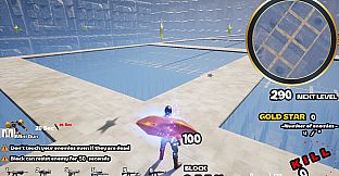 Protecting the diamond