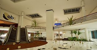 Black Friday Janitor: Clean the Whole Mall