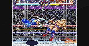 ACA NEOGEO WORLD HEROES