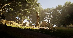 South America Gold Rush