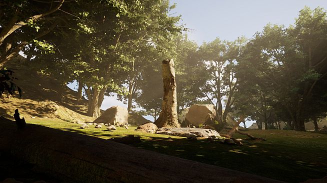 South America Gold Rush