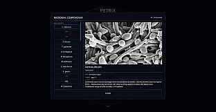 Petrix