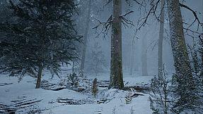 Demise: Survival Uncharted