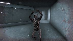 SURVIVAL IN THE BACKROOMS