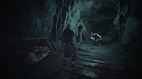 Echoes of Yi : Samsara