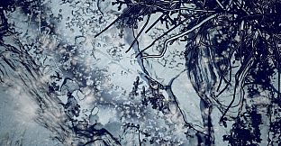 NORR part II: Will Walker