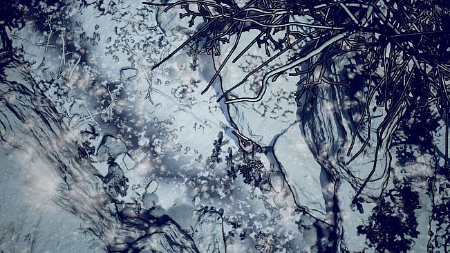 NORR part II: Will Walker