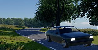 Sprint Rally