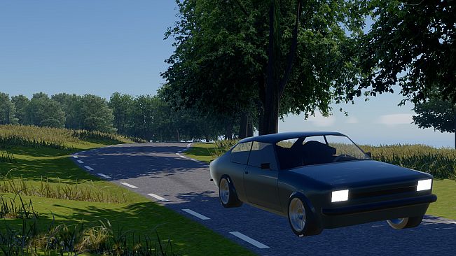 Sprint Rally