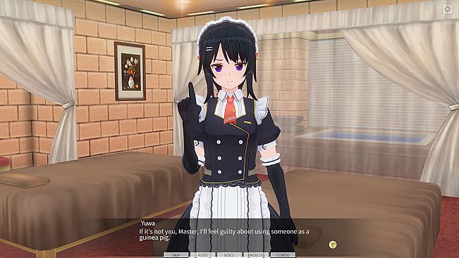 CUSTOM ORDER MAID 3D2 Personality Pack Guarded, Blunt Girl