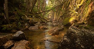 Get Lost In Nature With Luke