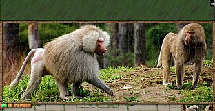 Jigsaw Puzzle Pack - Pixel Puzzles Ultimate: Primates