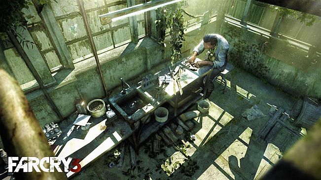 Far Cry 3