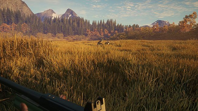 theHunter: Call of the Wild - Hunter Power Pack