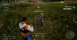 Lesion