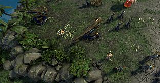 Infinite Fantasy Battlefront