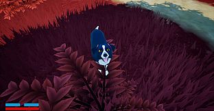 Raining Cats and Dogs