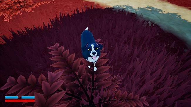 Raining Cats and Dogs