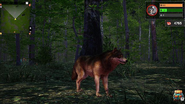 Wolf Simulator: Silent Paws