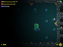 Adventure Apes and the Mayan Mystery