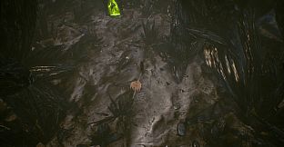 Shades of Rayna - Starter Pets Pack