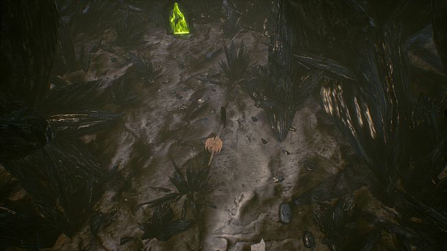 Shades of Rayna - Starter Pets Pack