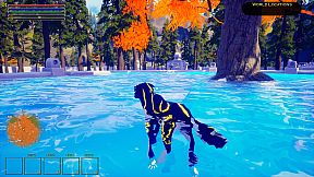 Dragomir: The Dreaming