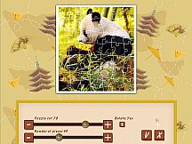 1001 Jigsaw World Tour Asia