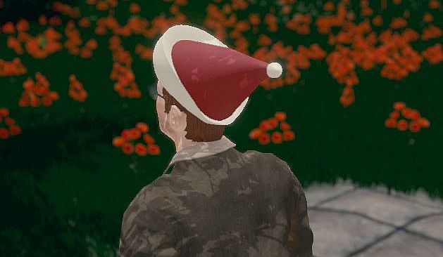 Hide and Seek - Santa Hat