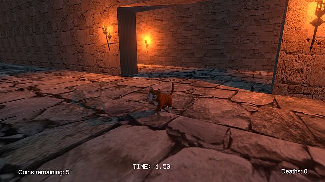 9 Trials of Whiskers