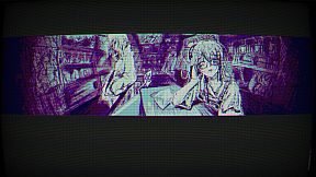 Dichotomy Illusion: The Coser Disassembly Incident