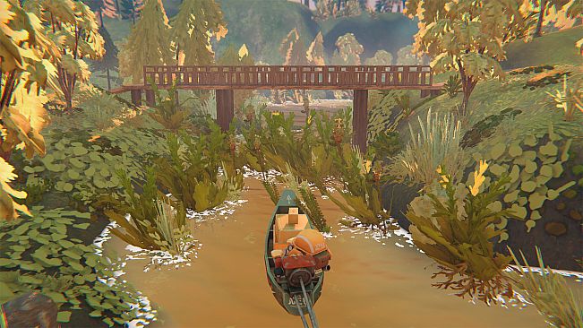 Mangrove Express