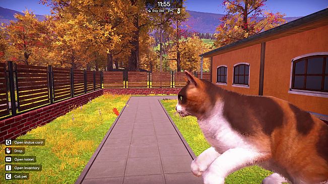 Animal Shelter 2 - Fluffy Cats Pack