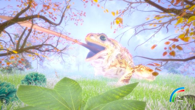 Hidden Treasures in the Forest of Dreams