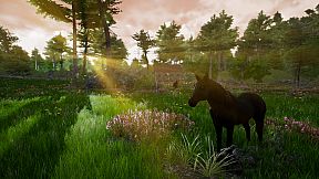 Horse Riding Deluxe 2