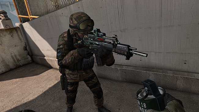 S.K.I.L.L. - Special Force 2 - Recruit Pack