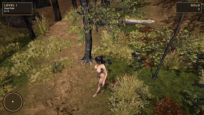 Catch the Witch