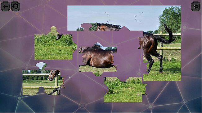 Puzzles for smart: Horses