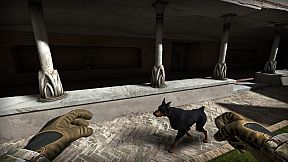 Allison's Diary: Rebirth