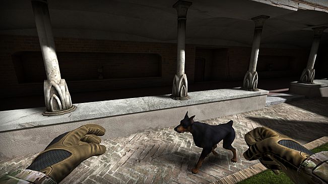 Allison's Diary: Rebirth