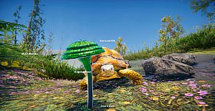 Turtles on Crocodiles