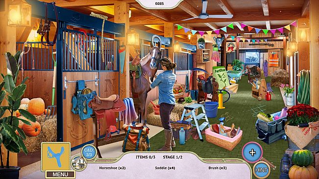 Sweet Home: Look and Find Collector's Edition