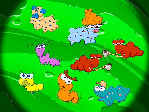 Freddi Fish 5 featuring Mess Hall Mania: The Case of the Creature of Coral Cove