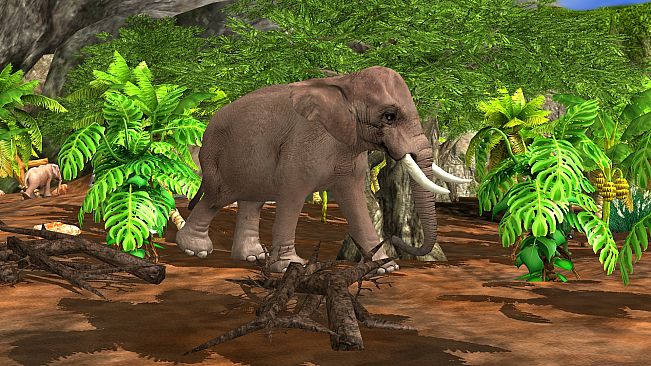 Wildlife Park 3 - Asia