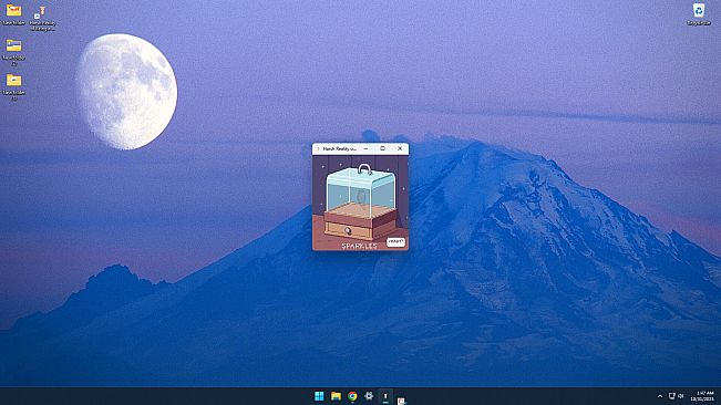 Harsh Reality of Being a Hamster