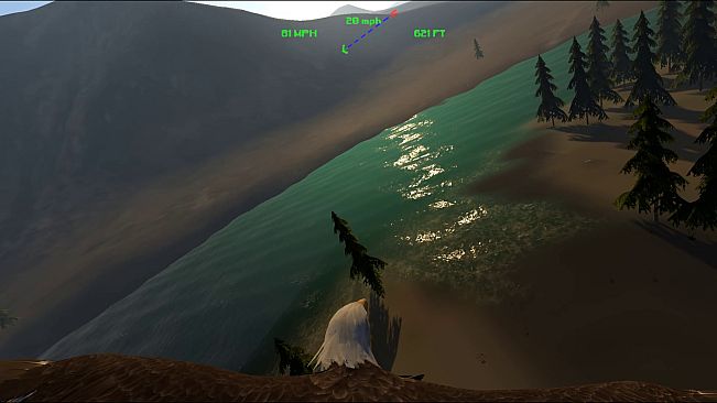 Aquila Bird Flight Simulator